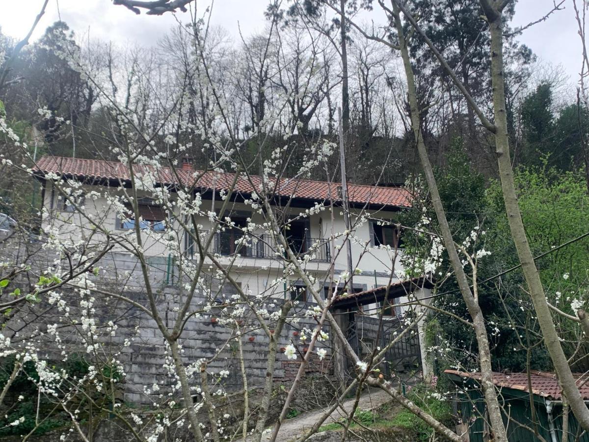 Casa Rural En Santa Cruz-mieres Bustiello (Mieres)